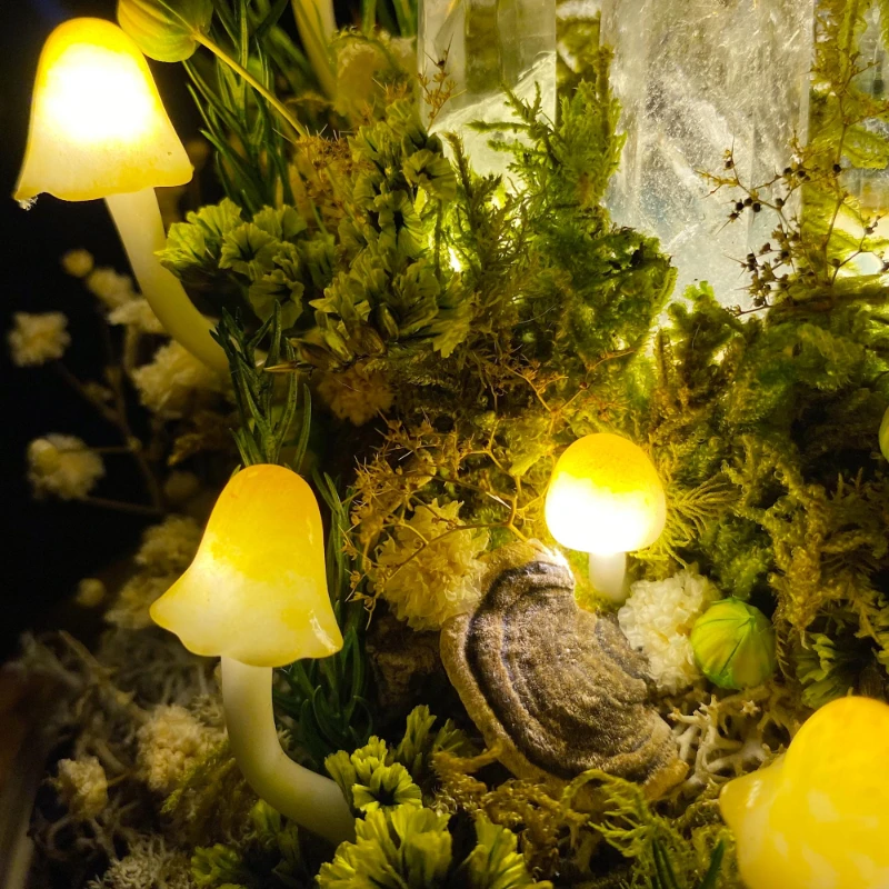 Pilz-Nachtlicht Glaskuppellamp – Resin Art On Wood Bewertung und Preis